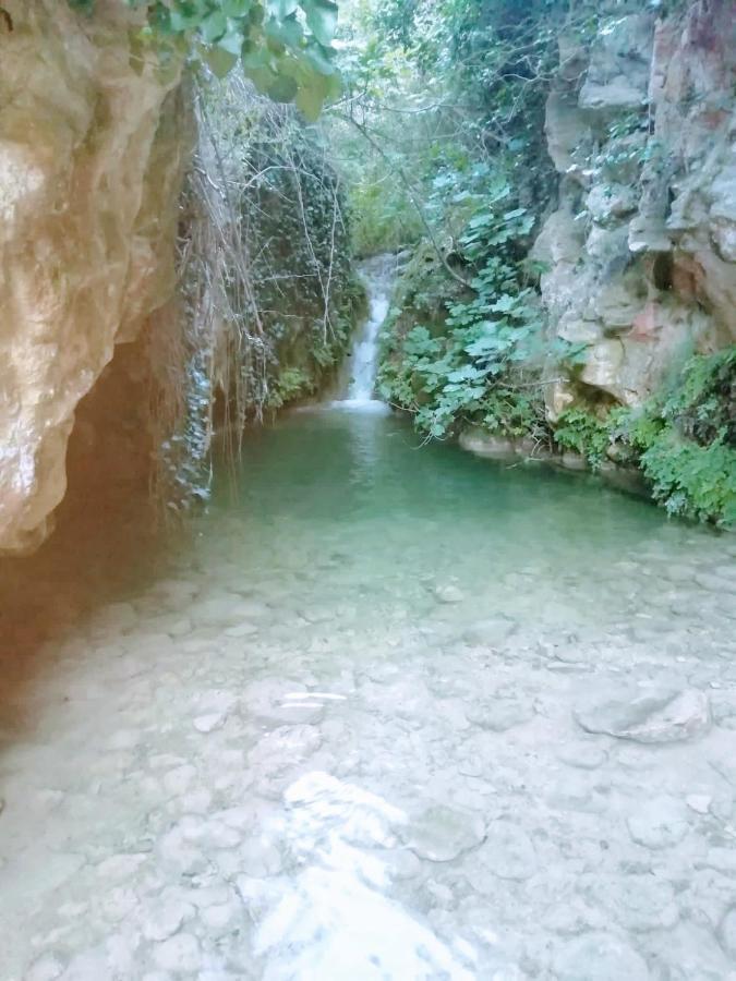Habitacion De La Marquesa Alcoleja Εξωτερικό φωτογραφία