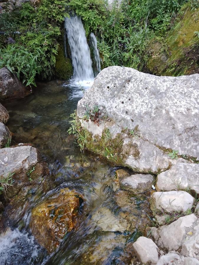 Habitacion De La Marquesa Alcoleja Εξωτερικό φωτογραφία